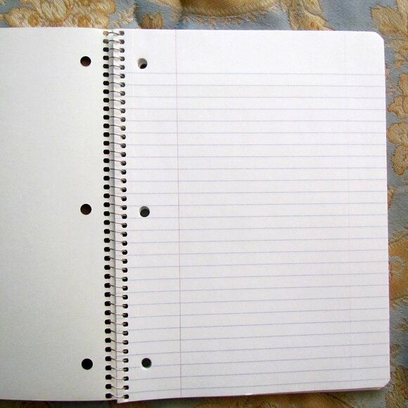 JACK SPARROW, WILL TURNER - PIRATES of the CARIBBEAN SPIRAL NOTEBOOK, NWOT, EXC. - Picture 3 of 5